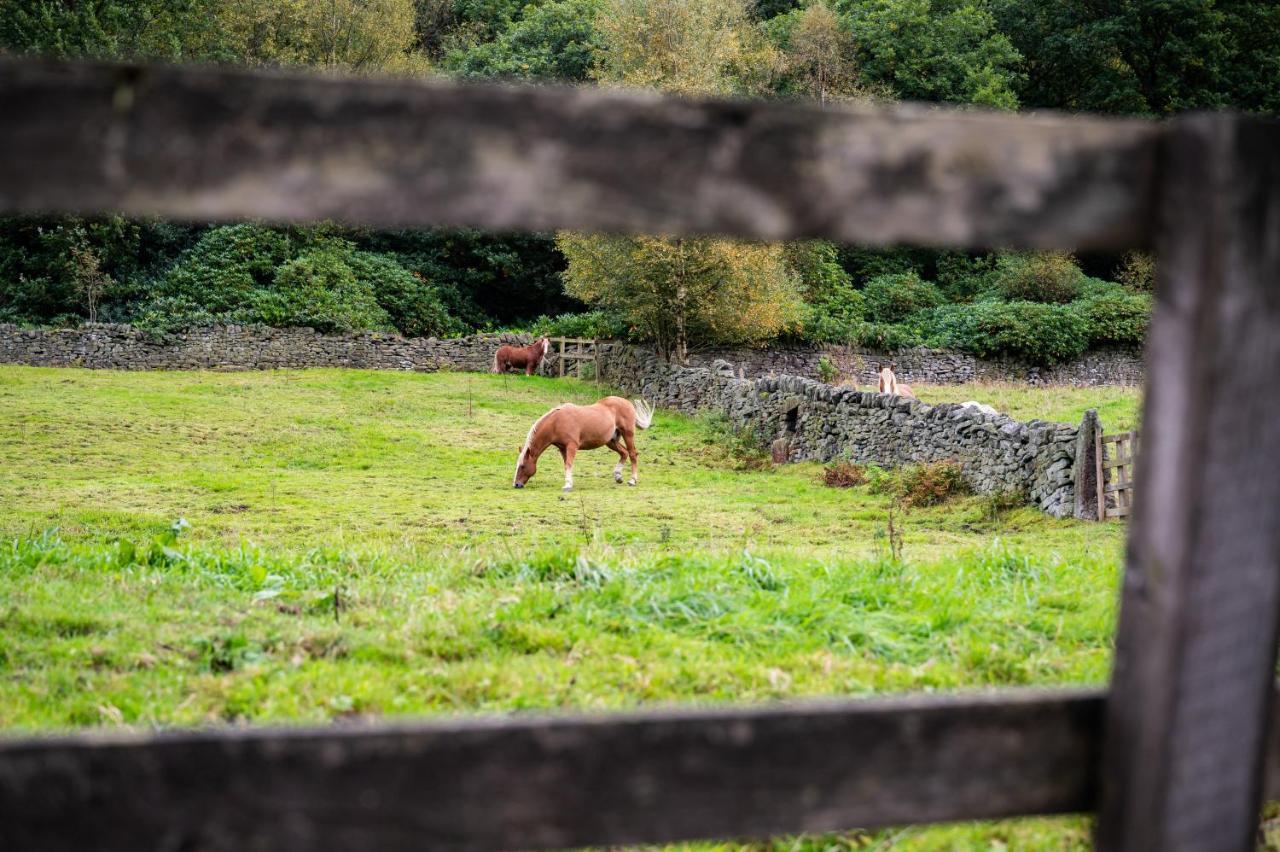 Vila The Keep At Castlegate - Luxury Detached Retreat In Cragg Vale, Hebden Bridge Mytholmroyd Exteriér fotografie